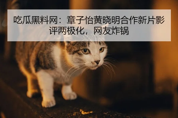 chi-gua-hei-liao-wang-zhang-zi-yi-huang-xiao-ming-he-zuo-xin-pian-ying-ping-liang-ji-hua-wang-you-zha-guo-2-657.jpg